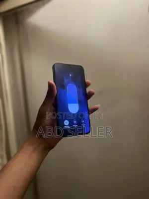 Apple iPhone 12 Pro Max 256 GB Blue