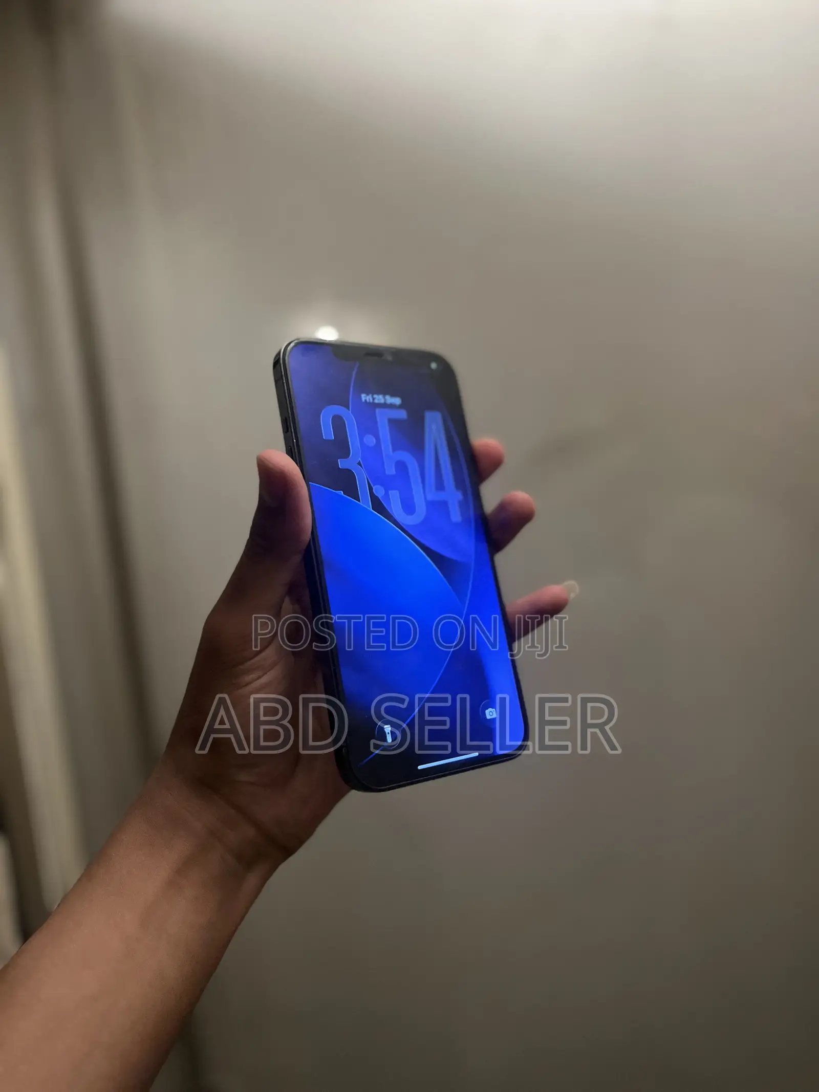 Apple iPhone 12 Pro Max 256 GB Blue