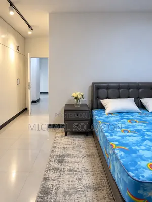 Furnished 3bdrm Apartment in Bole for rent