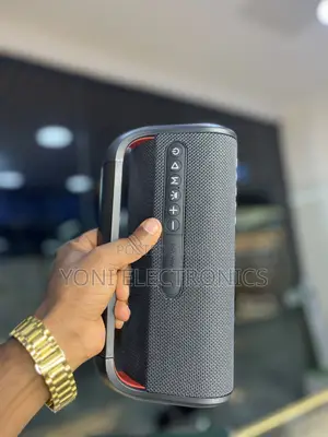 SANEN SA200A 40W Outdoor & Indoor Wireless Bluetooth Speaker