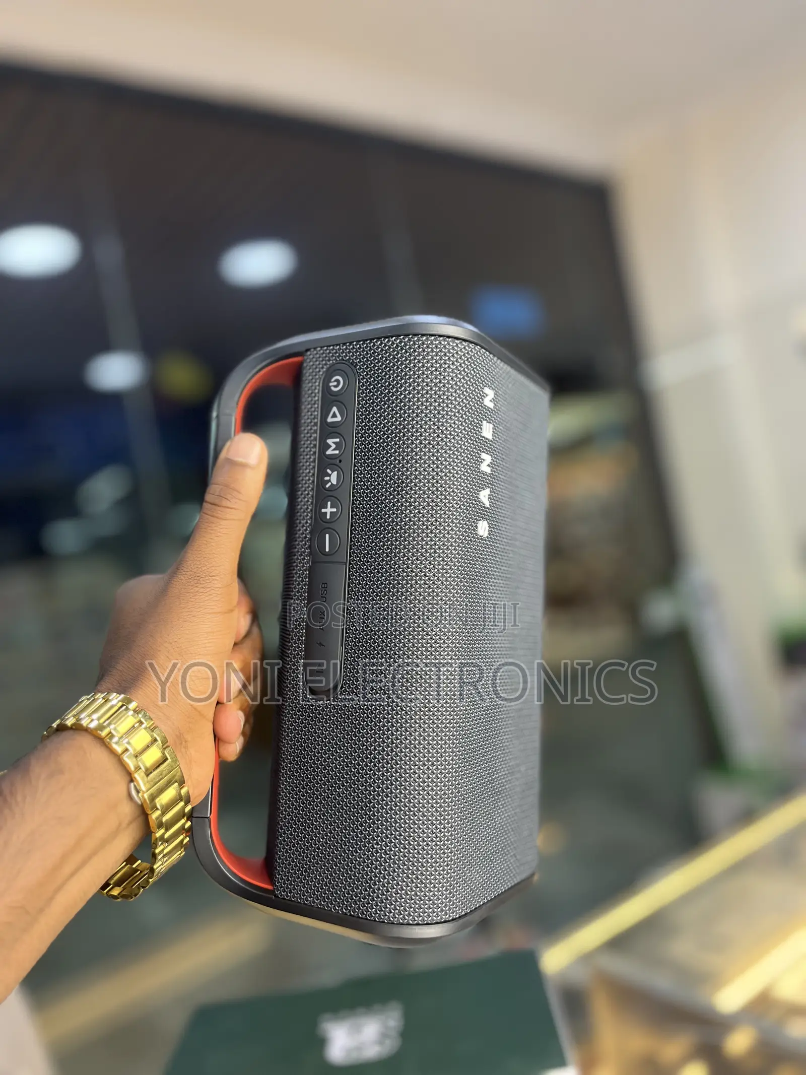 SANEN SA200A 40W Outdoor & Indoor Wireless Bluetooth Speaker