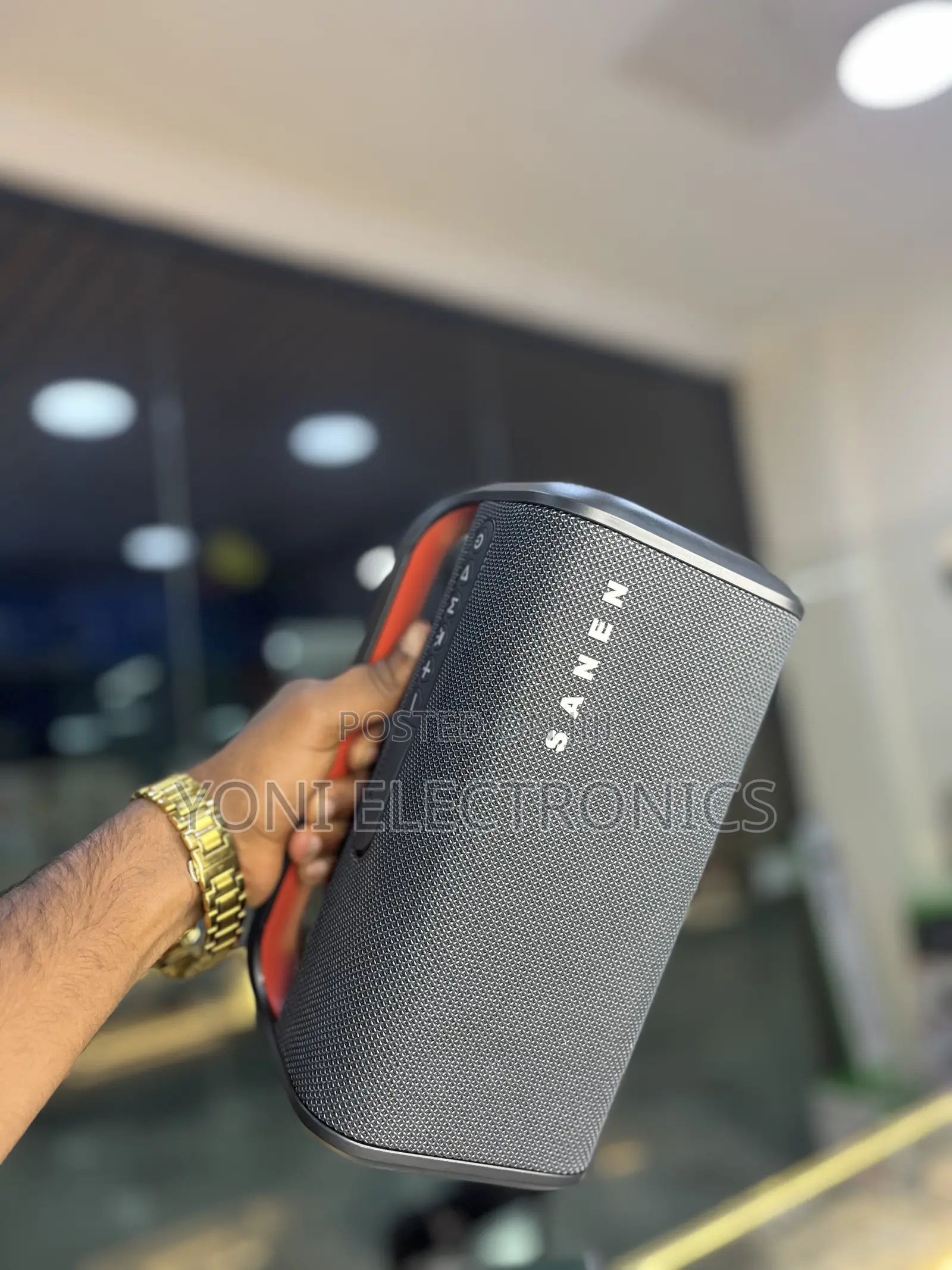 SANEN SA200A 40W Outdoor & Indoor Wireless Bluetooth Speaker