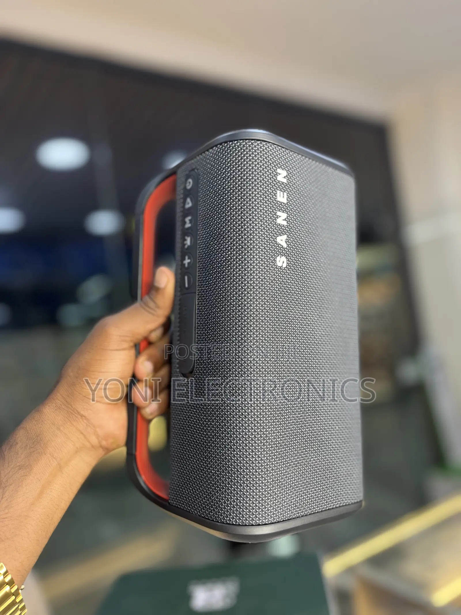 SANEN SA200A 40W Outdoor & Indoor Wireless Bluetooth Speaker