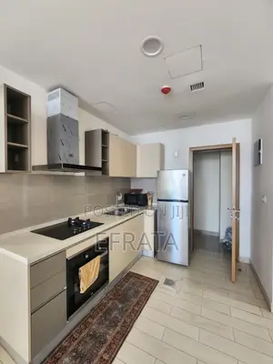 Furnished 2bdrm Apartment in Lideta for rent