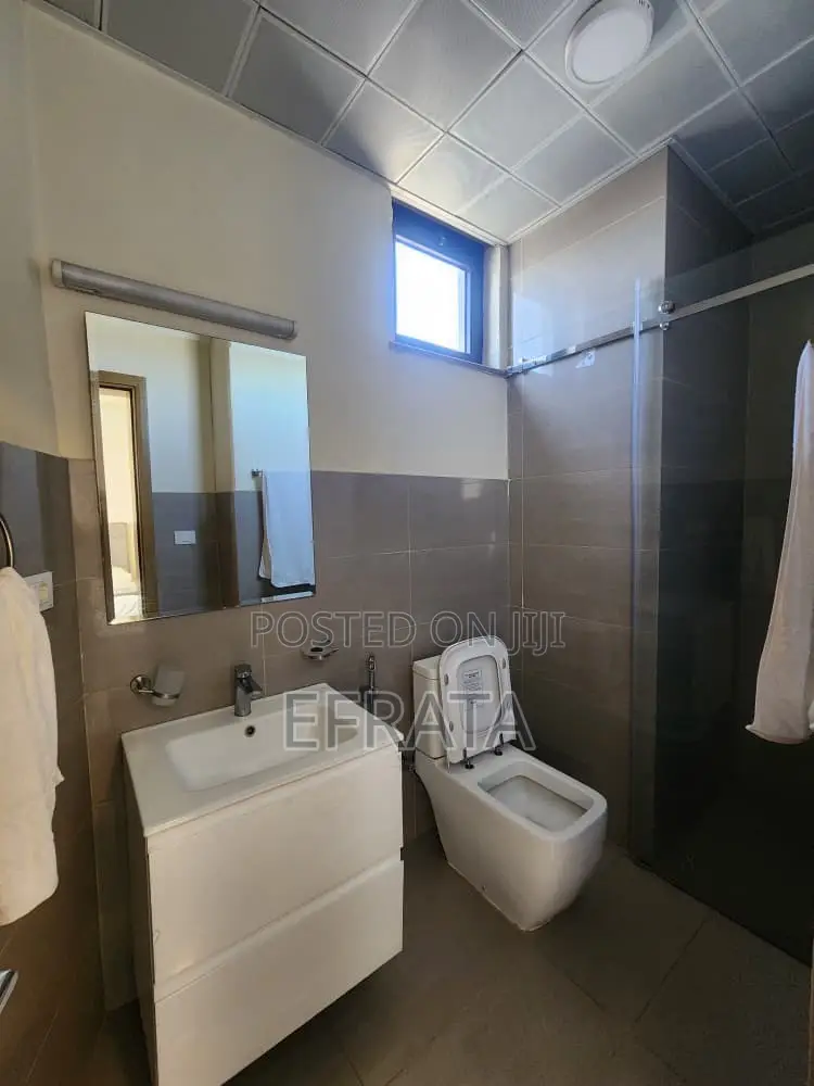 Furnished 2bdrm Apartment in Lideta for rent
