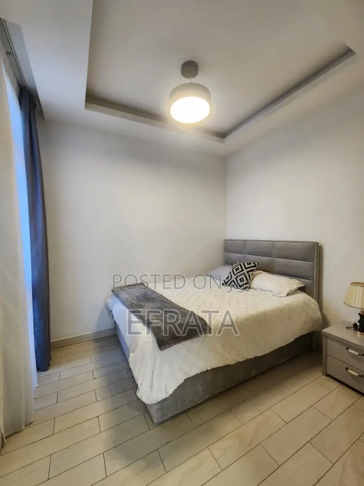 Furnished 2bdrm Apartment in Lideta for rent