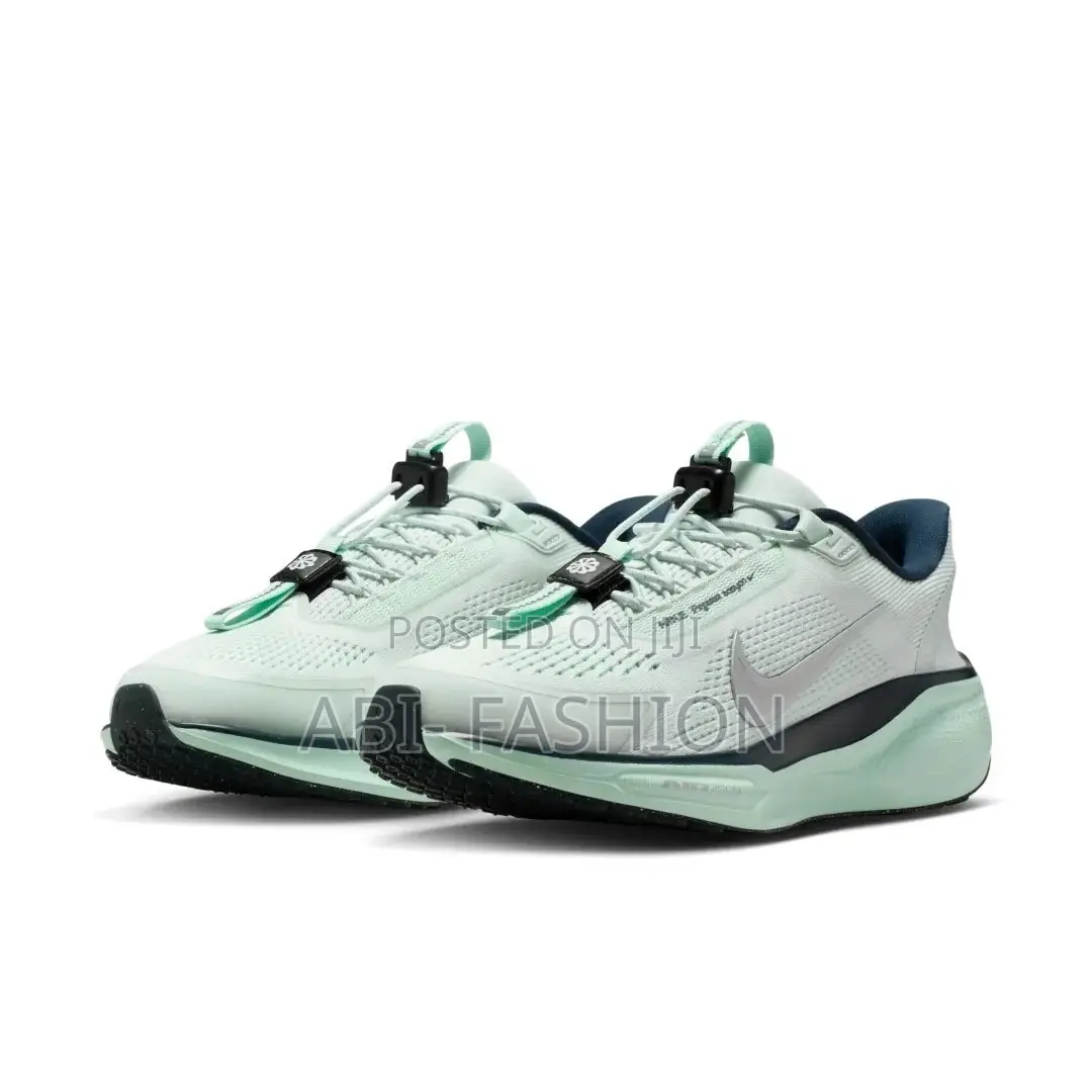 Nike Pegasus EasyOn Shoes| New Arrival