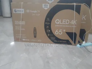 Bravia Gogle TV