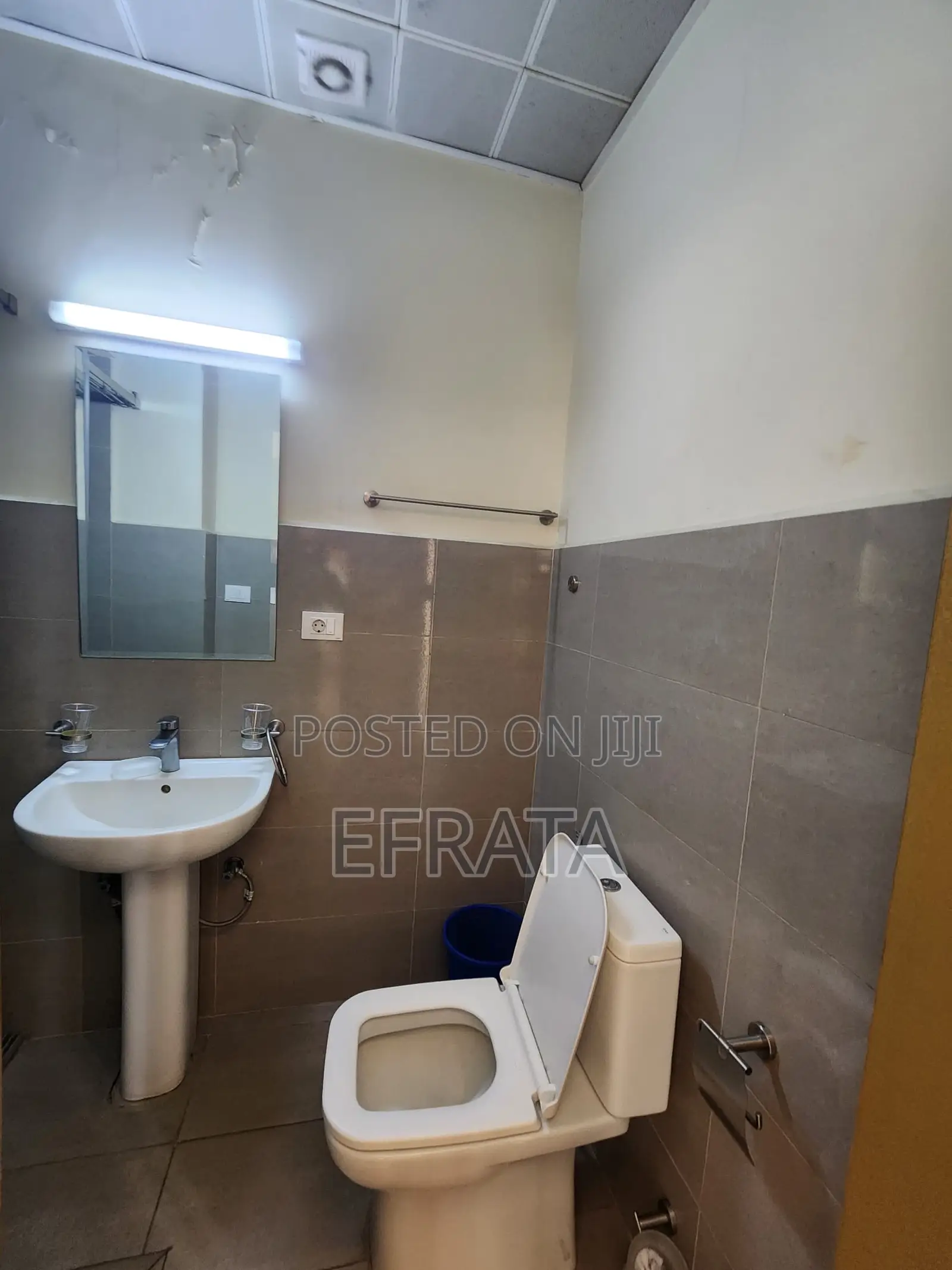 Furnished 3bdrm Apartment in Lideta for rent
