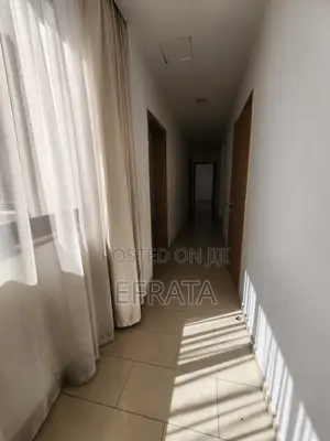 Furnished 3bdrm Apartment in Lideta for rent