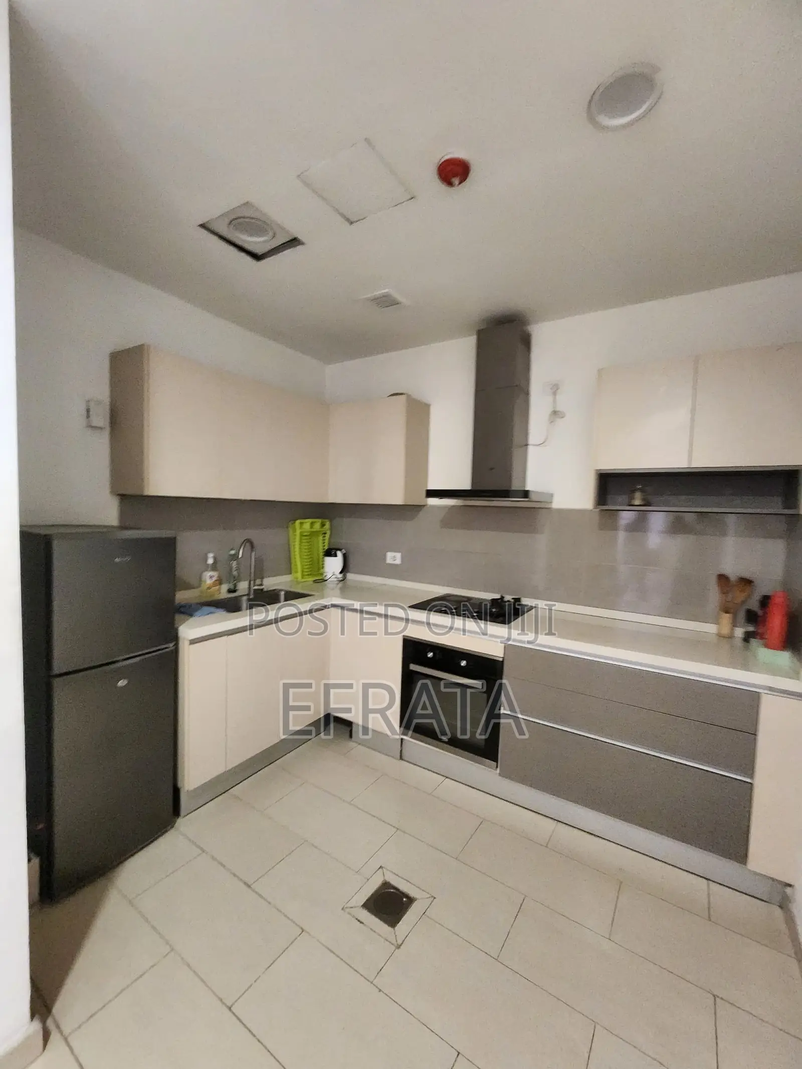 Furnished 3bdrm Apartment in Lideta for rent