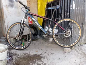 MTWOLF Bike
