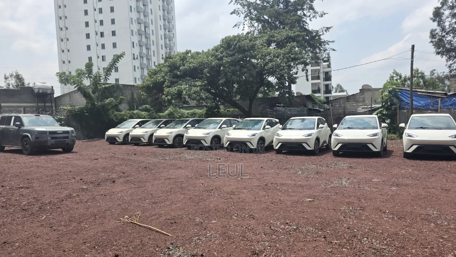 New BYD Seagull 2025 White