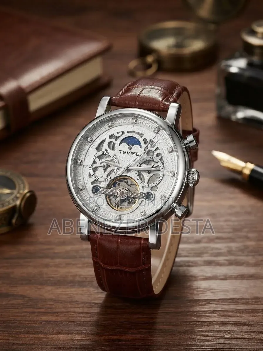 Automatic Skeleton Mechanical Wath Sun-and Moon Phase Brown Leather S