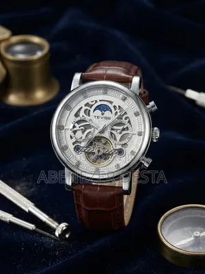Automatic Skeleton Mechanical Wath Sun-and Moon Phase Brown Leather S