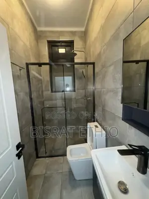 Furnished 3bdrm Apartment in Bole Wolosefer for sale