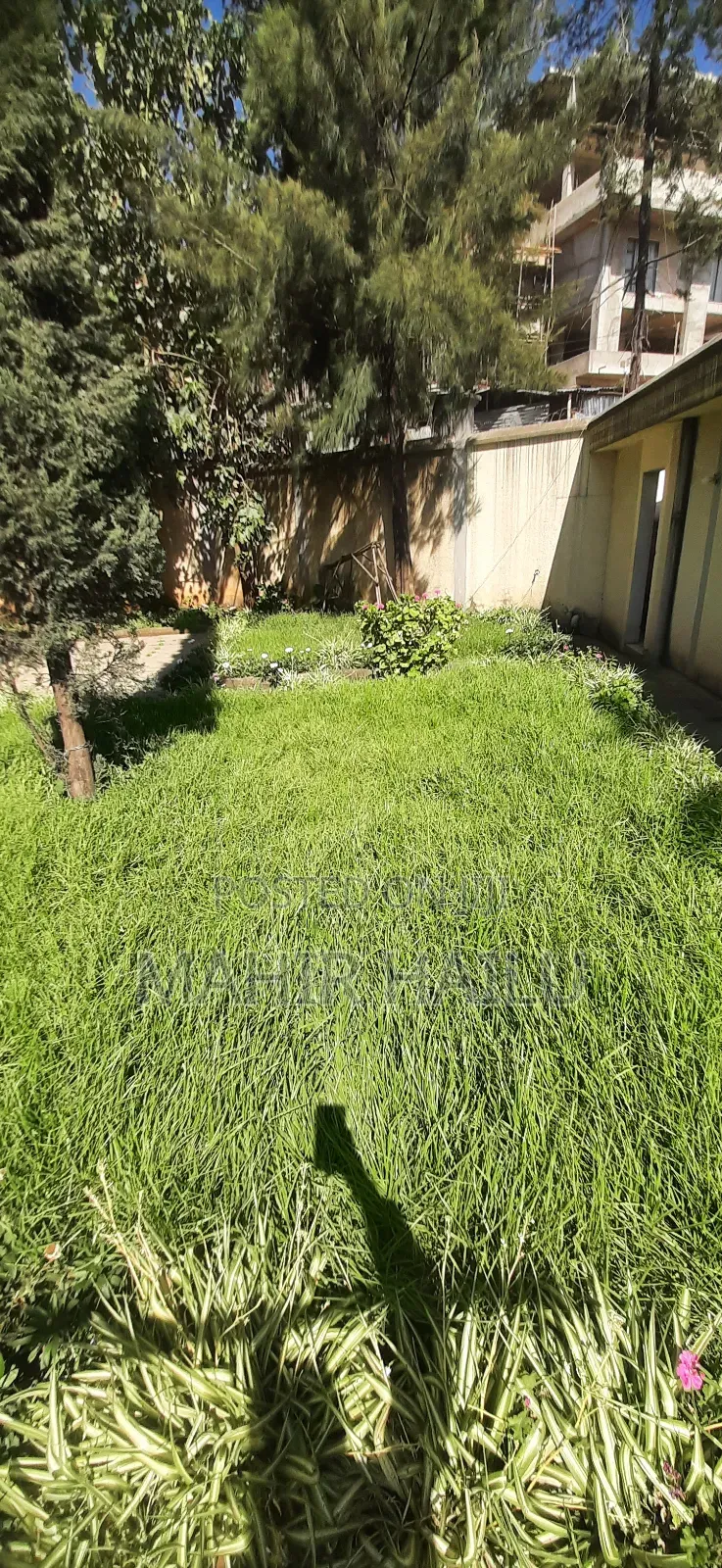 Furnished 4bdrm House in Real, Bole for rent