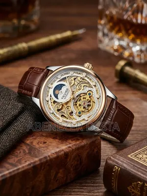 TEVISE T820 Series Men's Automatic Mechanical Skeleton Watch
