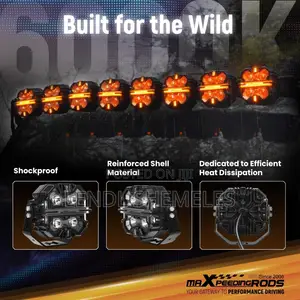 maXpeedingrods LED