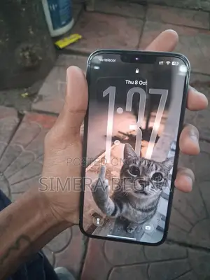 Apple iPhone 13 Pro Max 128 GB Silver
