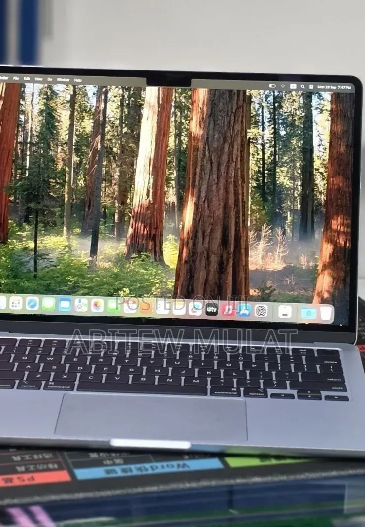 New Laptop Apple MacBook Air 2025 M4 16GB Apple M4 SSD 256GB