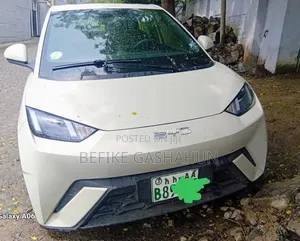 BYD Seagull 2024 White