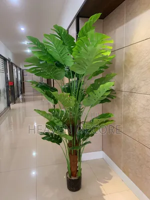 2ሜትር አርቴፊሻል ዛፍ Artificial Plant