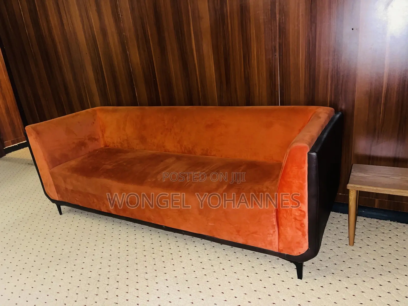 Sofa for House or Office