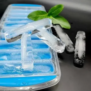 Ice Stick Tray Mold