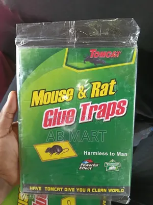 Rat Glue Trap
