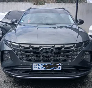 Hyundai Tucson 2022 Gray