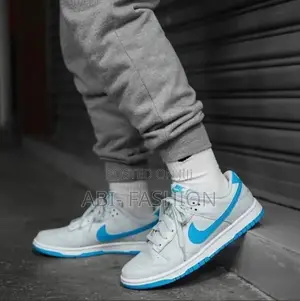 Nike Dunk Low SB Pure Platinum Light Blue Shoes – New Arrival