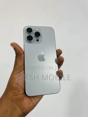 Apple iPhone 15 Pro Max 256 GB Silver