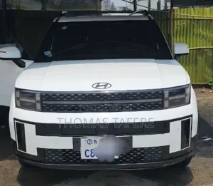 Hyundai Santa Fe 2024 White
