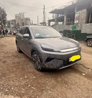 BYD Yuan Plus 2025 Gray