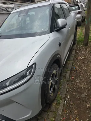 BYD Yuan Up 2025 Off white