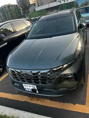 Hyundai Tucson Limited 2023 Gray