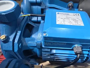 Water Pump for Home Irrigation Water Pump