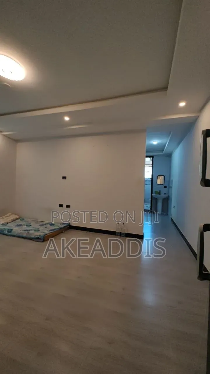 Furnished 2bdrm Condo in Bole Ayat for sale
