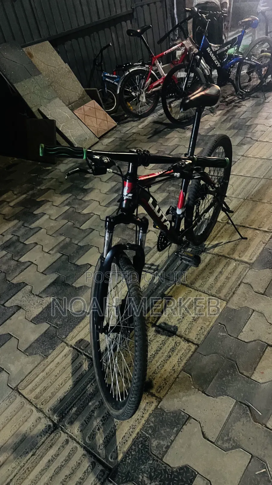 Luna Bike Luna Bike