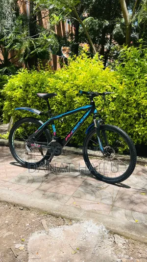 Phonex Full Aluminum Bike