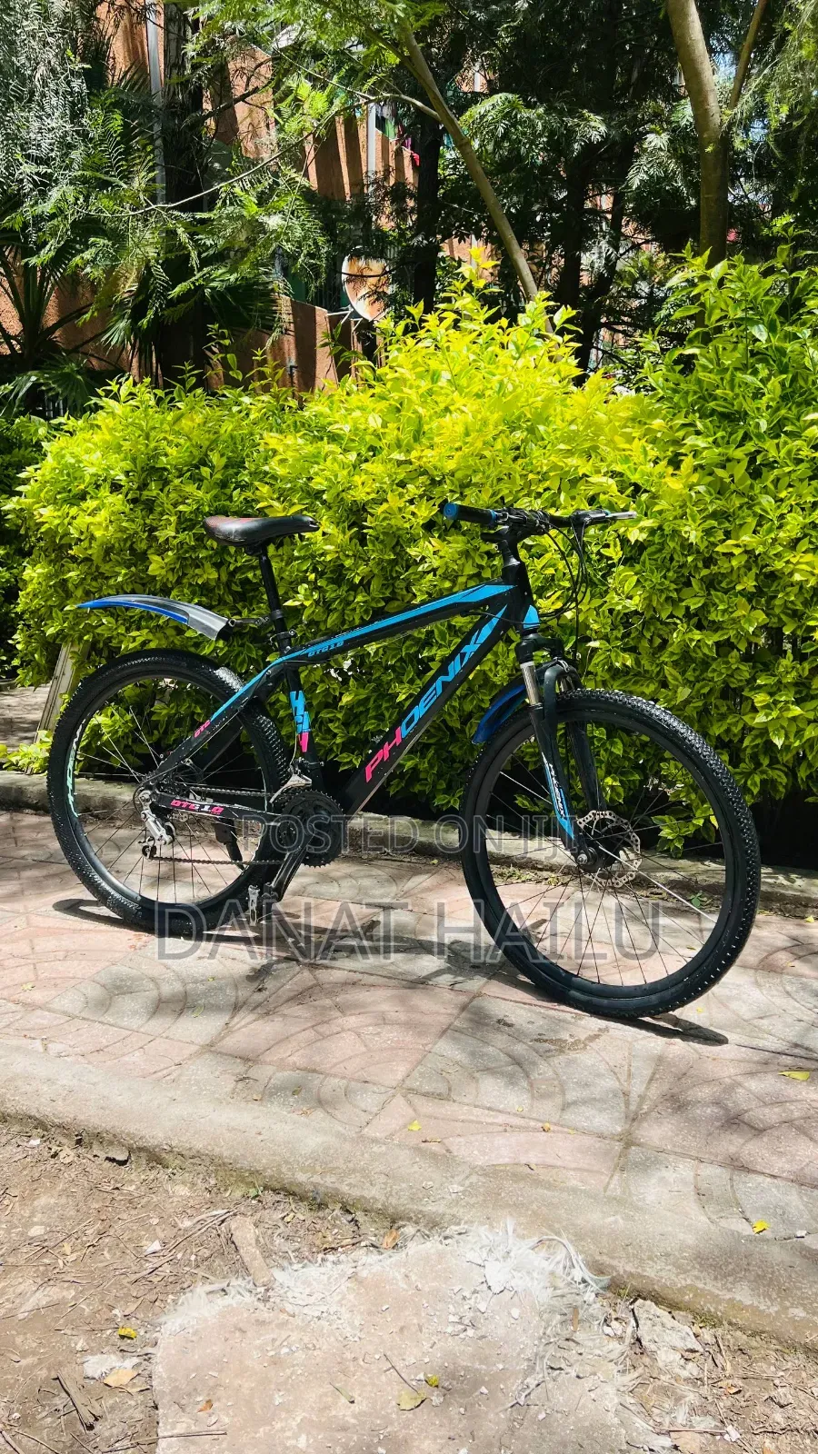 Phonex Full Aluminum Bike
