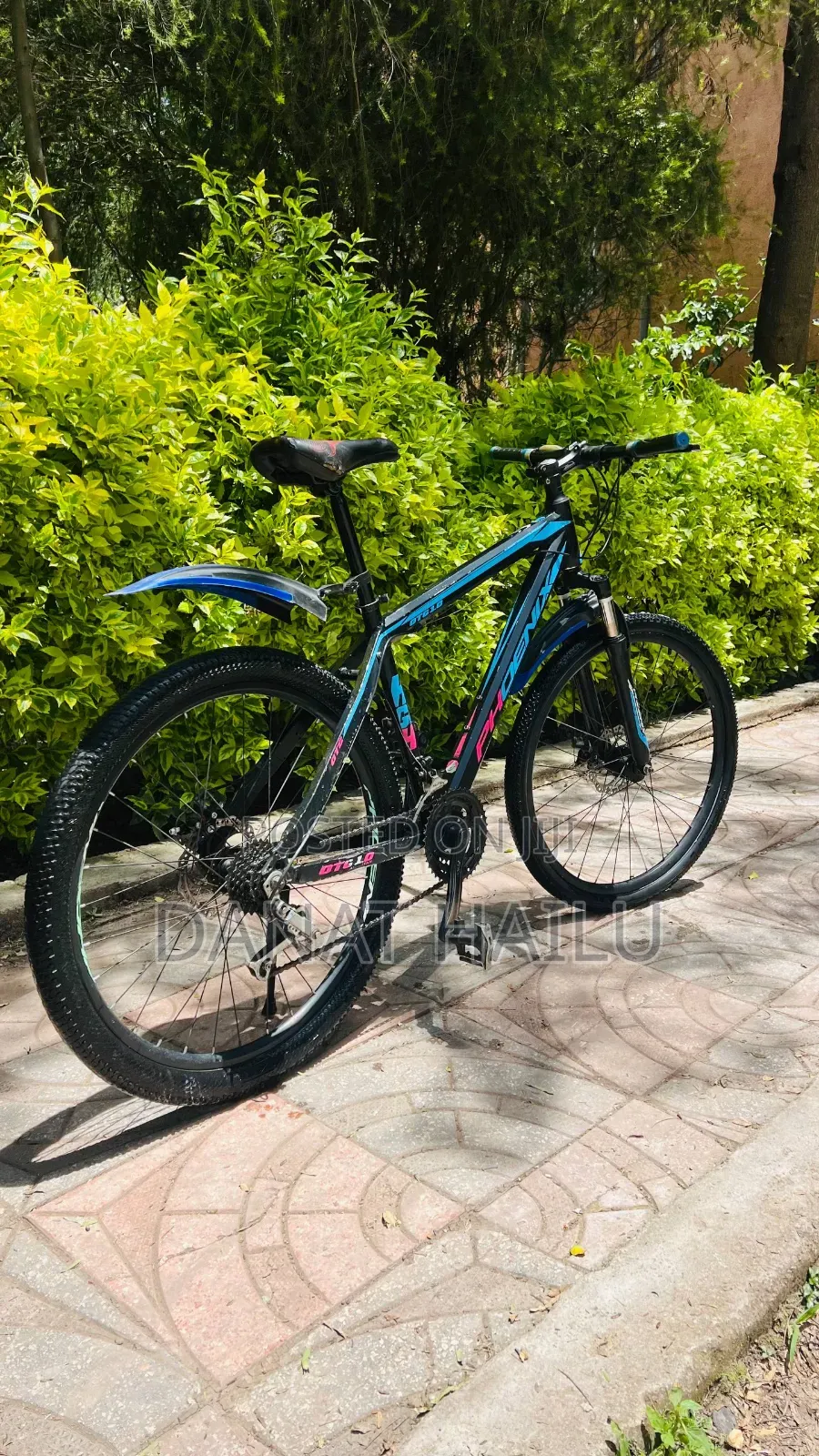 Phonex Full Aluminum Bike