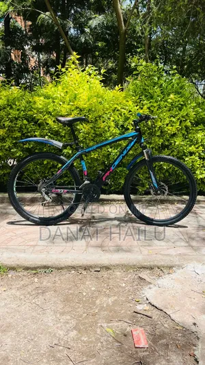 Phonex Full Aluminum Bike