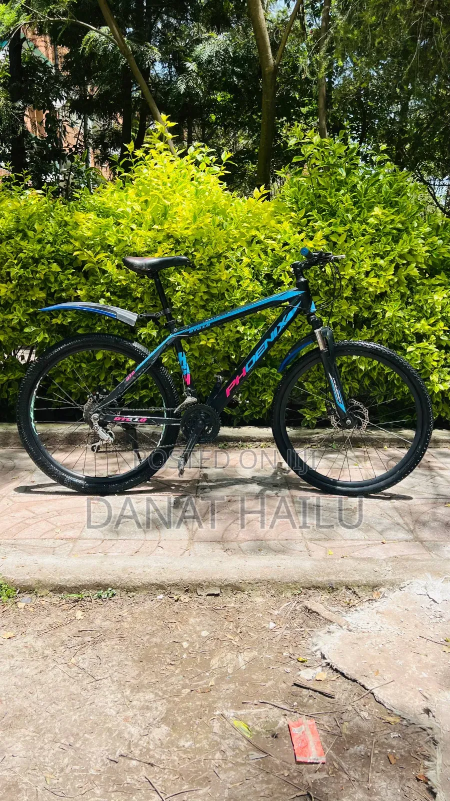 Phonex Full Aluminum Bike