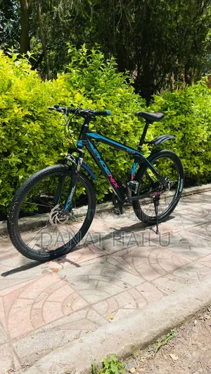Phonex Full Aluminum Bike
