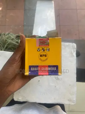 Piston Ring