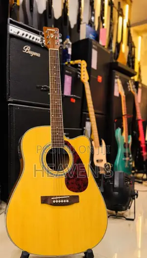 New Guitar