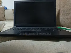 Laptop Toshiba Satellite Pro L450D 4GB Intel Core 5 HDD 500GB
