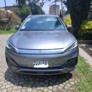 BYD Yuan Plus 2024 Silver